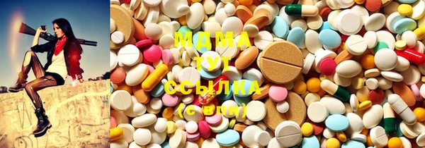 сатива Новозыбков