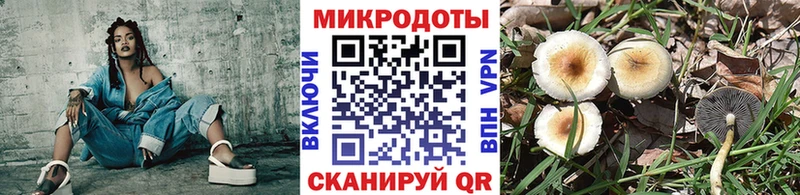 хочу Алдан Галлюциногенные грибы Psilocybe